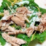 bajio-chicken-salad