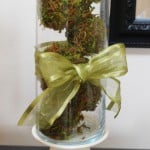 diy-moss-spheres