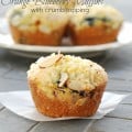 blueberry-muffins-recipe