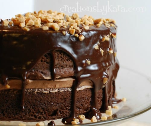 Chocolate Mousse Layer Cake