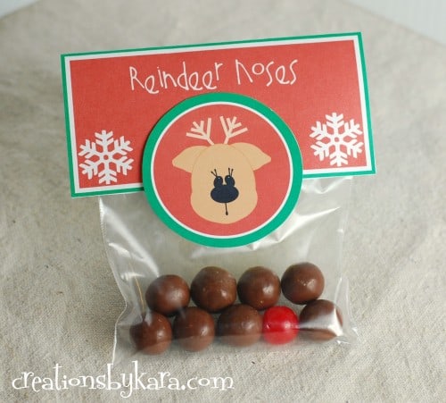 Reindeer Noses