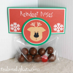 Easy Christmas Gift Idea--Reindeer Noses