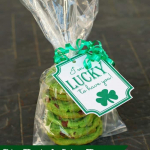 St. Patrick's Day Gift Tags {Free Printable}