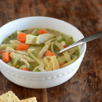 Chicken Noodle Soup with Homemade Noodles