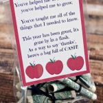 Best Teacher Gift - Bag of Cash