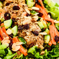 Pecan Crusted Chicken Salad with Honey Mustard Dressing