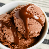 Easy No-Cook Chocolate Ice Cream Recipe
