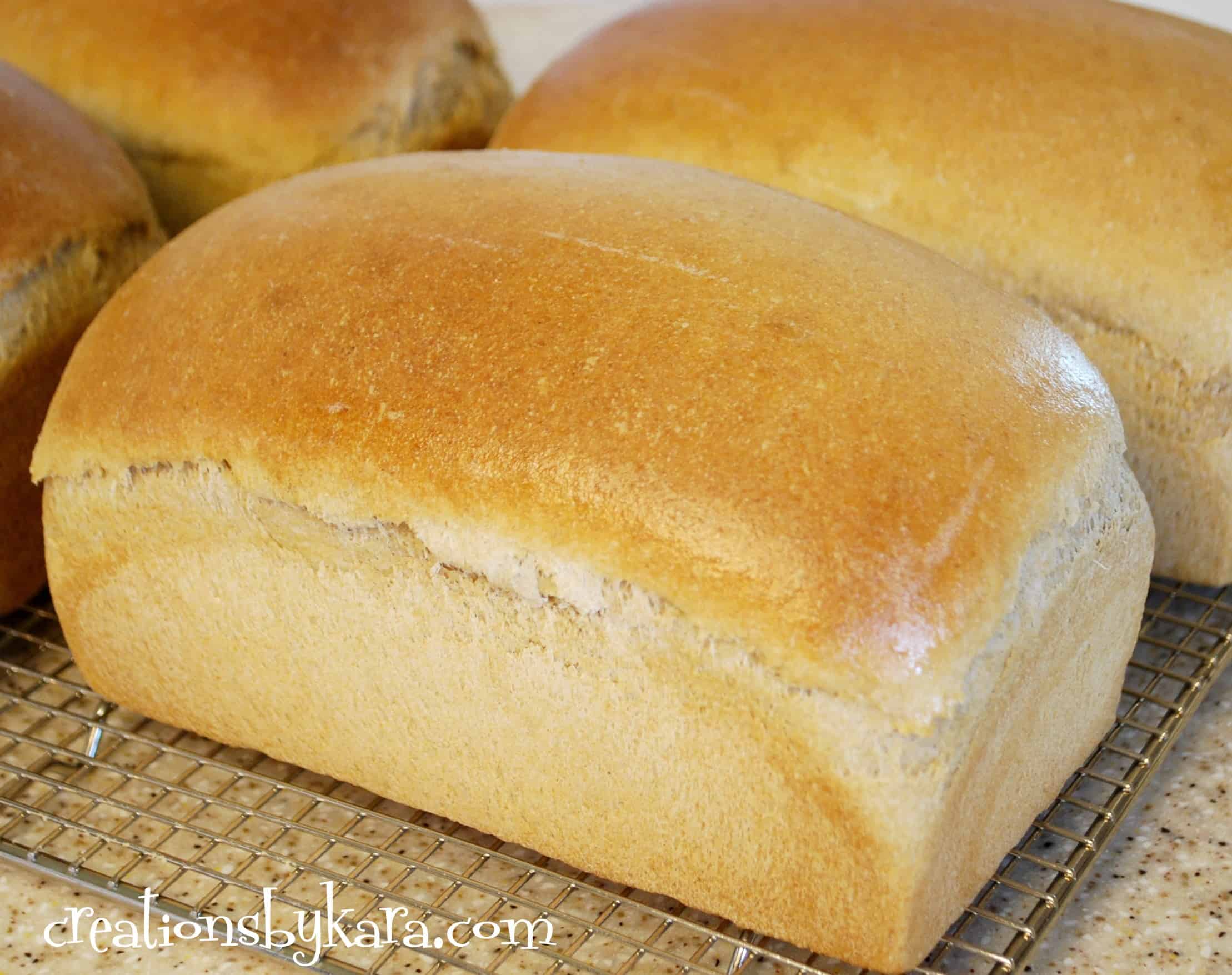Soft Wheat Bread