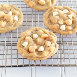 Recipe for the best ever macadamia nut cookies!