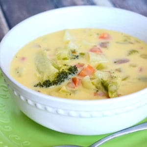 bowl of vegetable cheese soup with velveeta