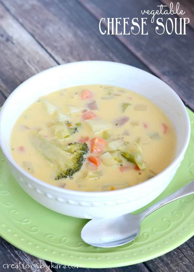 This creamy and delicious Cheese Soup is a yummy way to get your daily vegetables!