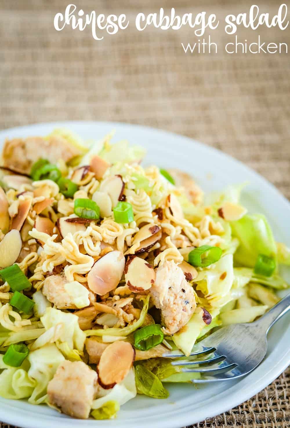 Chinese Cabbage Salad with Chicken Recipe Creations by Kara