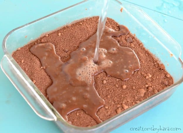 Hot Fudge Pudding Dessert - called water brownies at our house. 