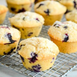 blueberry muffins with whole wheat on a cooling rack