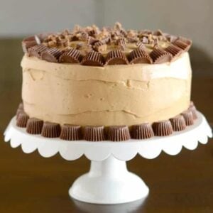 Reese's Peanut Butter Chocolate Cake