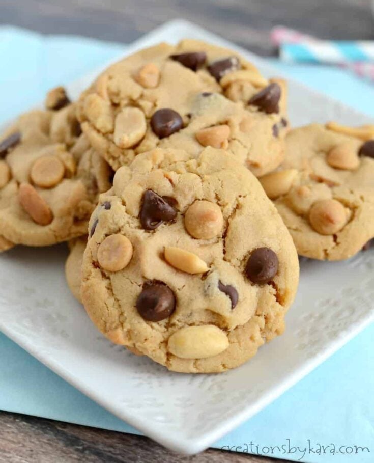 Peanut butter chocolate chip cookies with peanut butter chips and salted peanuts. A soft, chewy, and scrumptious cookie recipe!