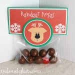 christmas-gift-idea-reindeer-noses