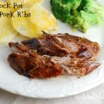 plate of bbq pork ribs