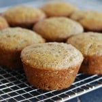 bran-muffins-recipe