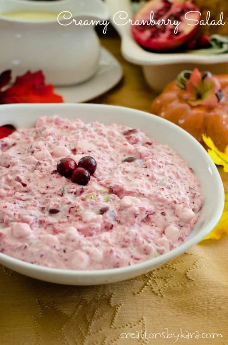 Creamy Cranberry Salad- a perfect side dish for Thanksgiving dinner!