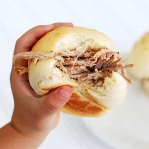 The best Crock Pot Pulled Pork