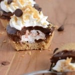 Five layer frozen smore cups are a delightful summer treat!