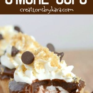 frozen s'more cups recipe