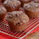 Chocolate Lovers Muffins- loaded with chocolate chips, these chocolate muffins are a decadent breakfast treat!