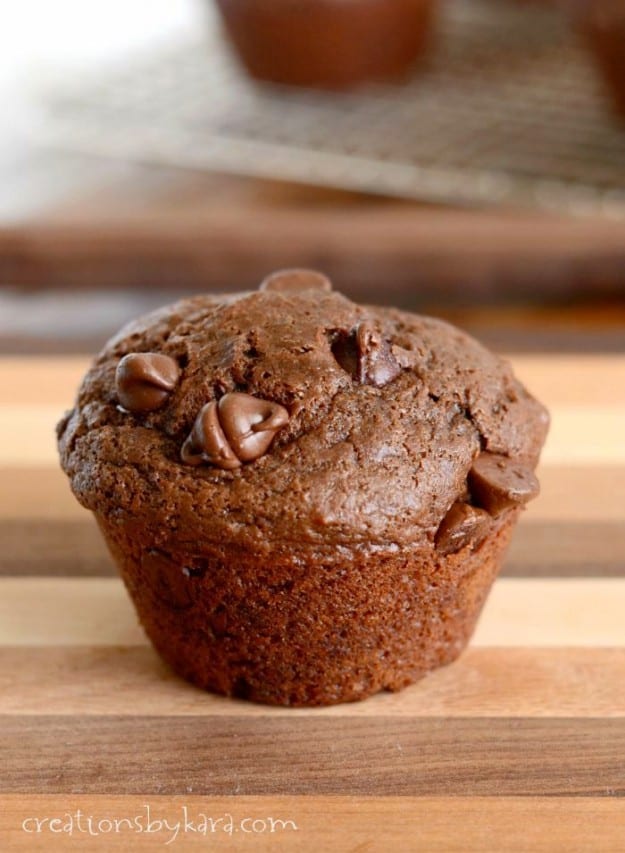  close up of Chocolate Muffin with chocolate chips