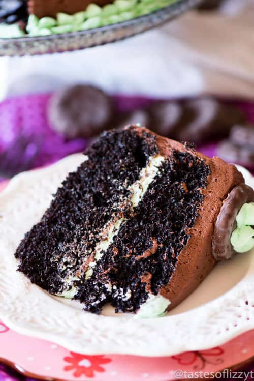 grasshopper-chocolate-mint-cake-recipe-28