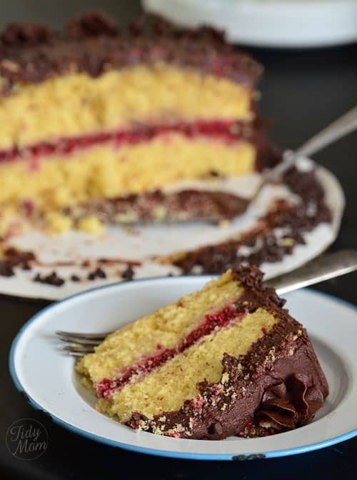 yellow-cake-raspberry-filling-chocolate-frosting-at-tidymom