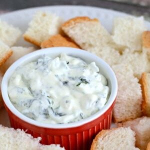 In just a few minutes, you can have an absolutely scrumptious spinach dip. Everyone loves this dip recipe!