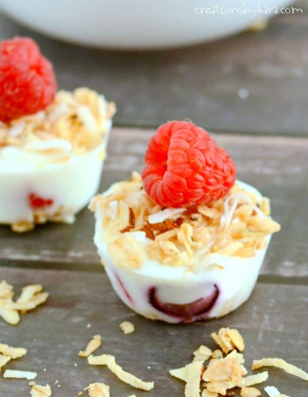 frozen mini yogurt cup topped with granola and berries