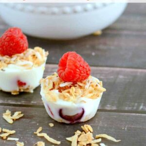 Frozen yogurt bites with granola and berries. A healthy and refreshing treat!