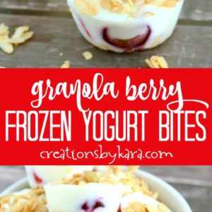 Granola Berry Frozen Yogurt Bites