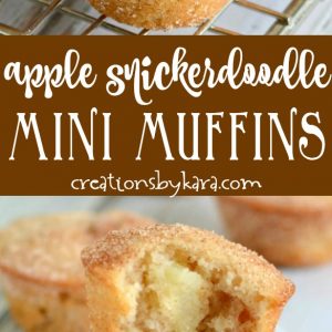 apple snickerdoodle muffins