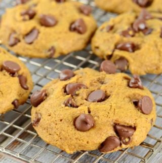 Best ever pumpkin cookies with chocolate chips. A classic fall cookie recipe.