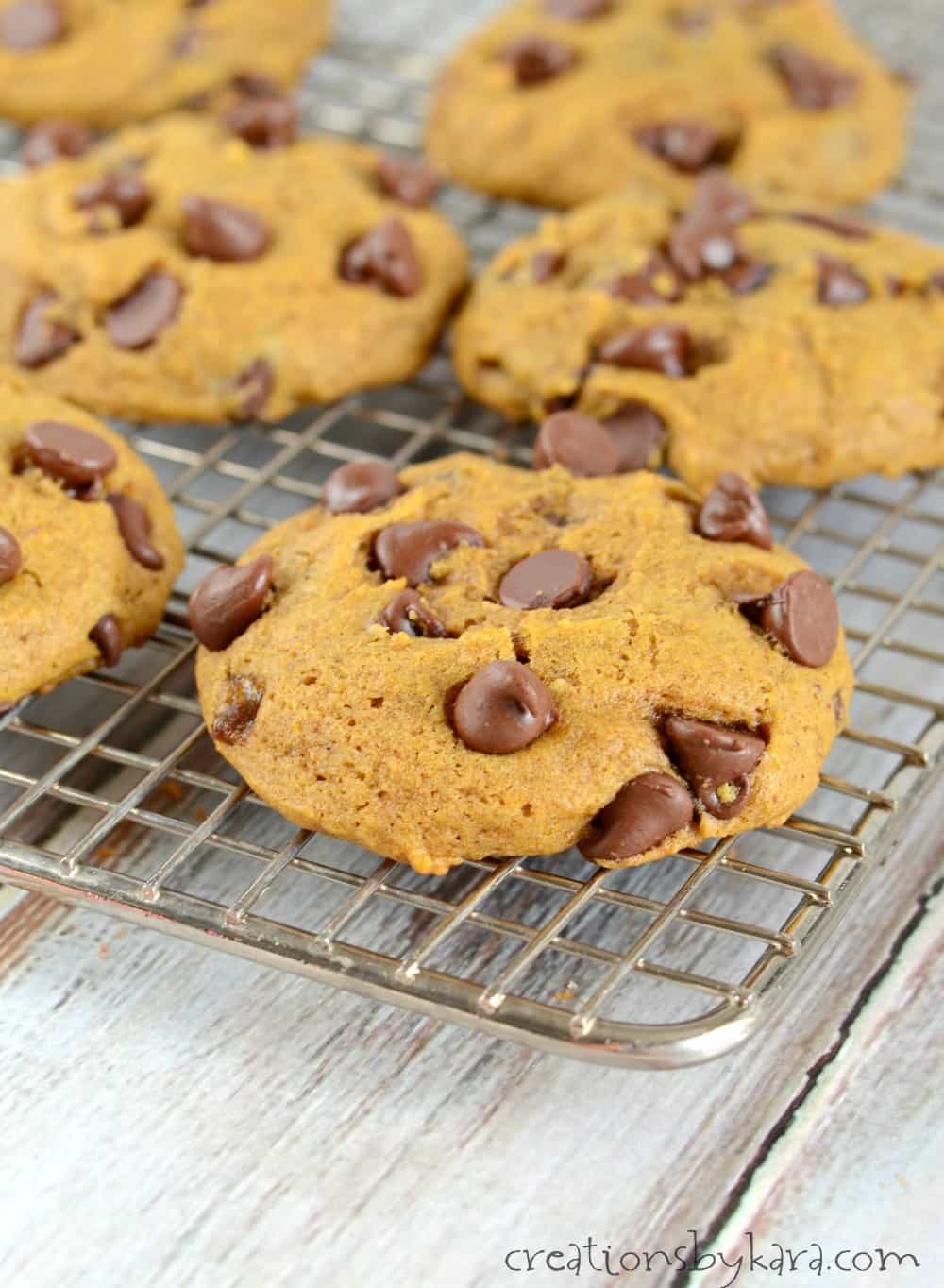 Pumpkin Chocolate Chip Cookies - Creations by Kara