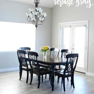 Sherwin Williams Repose Gray - the best gray paint ever!