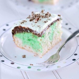 Fudgy Grasshopper Cake . . . a fudge layer and creamy mint topping make this cake extra yummy!