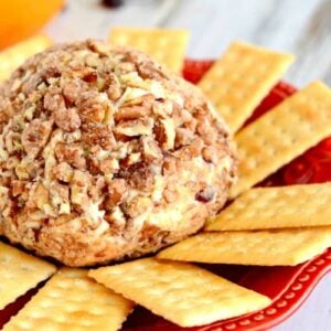 Orange Cranberry Cheeseball - this sweet and tangy cheese ball is a perfect holiday appetizer!