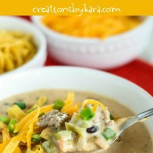 recipe for loaded nacho soup