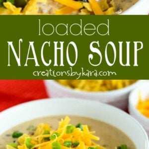 nacho soup collage