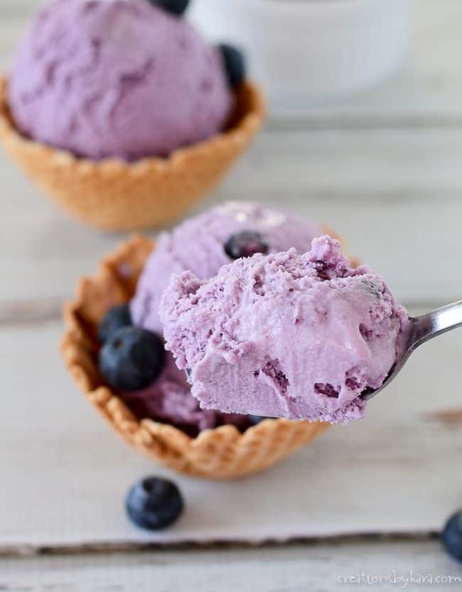 spoonful of homemade blueberry ice cream