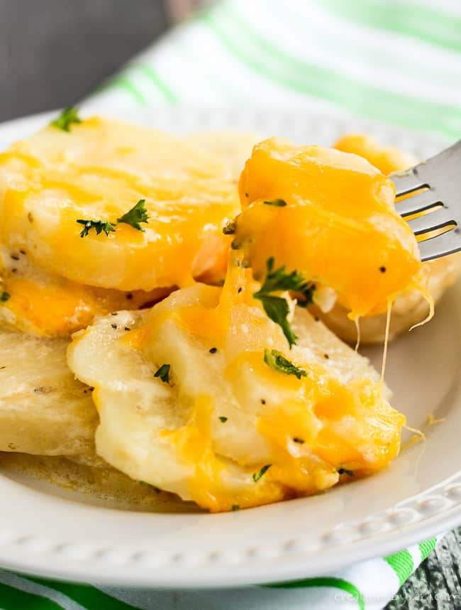 fork full of cheesy crockpot potatoes
