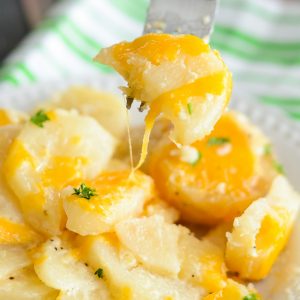slow cooker cheesy scalloped potatoes
