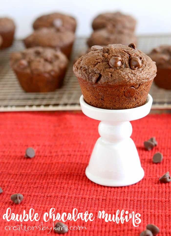 double chocolate muffin title photo