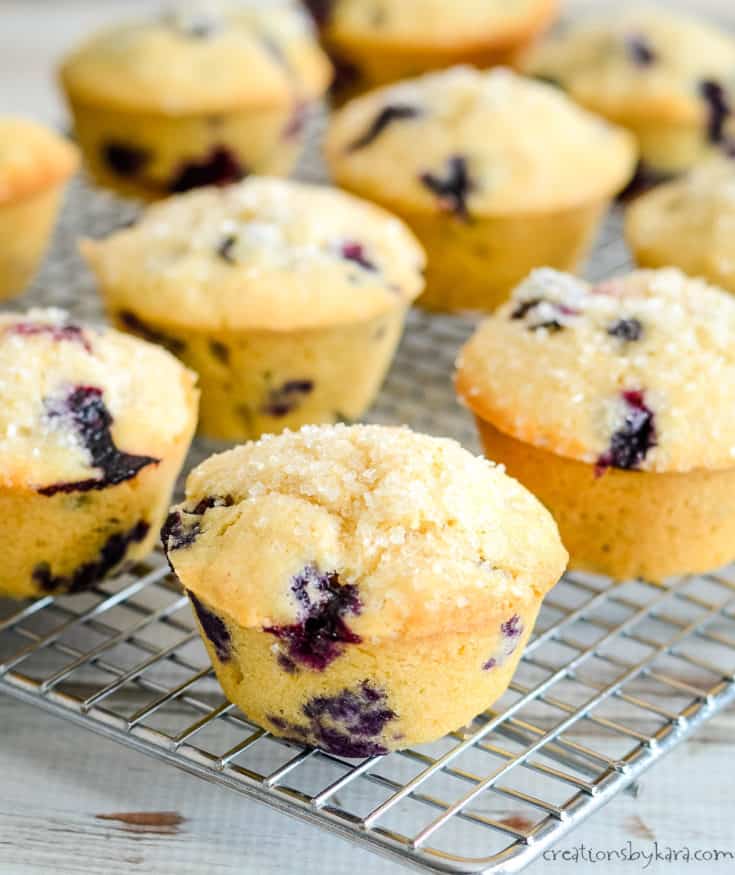 Whole Wheat Blueberry Muffins - Creations by Kara