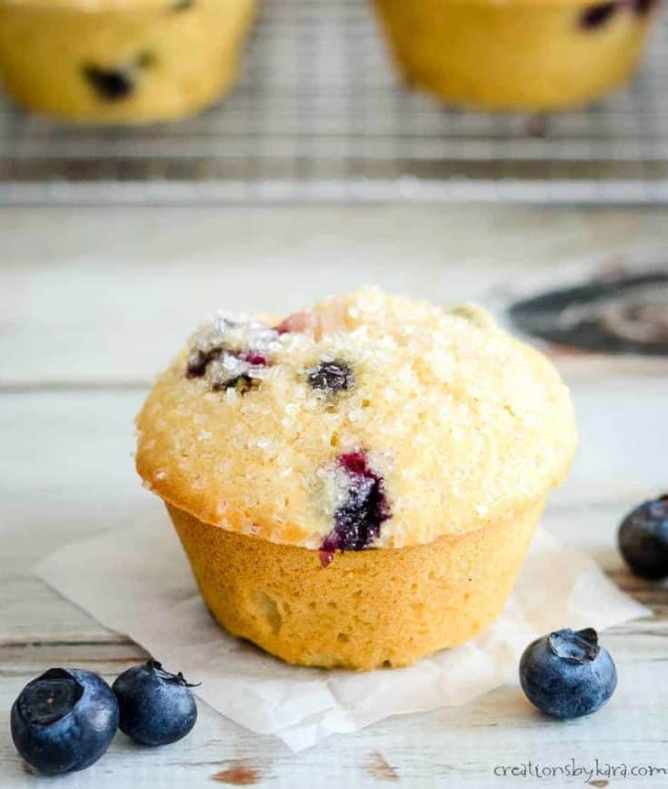 whole wheat blueberry muffin on waxed paper