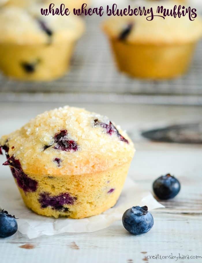 whole wheat blueberry muffin title photo